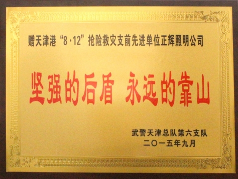 天津搶險救災(zāi)先進單位