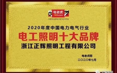 品牌榮譽(yù)！祝賀浙江正輝照明榮膺2020年“電工照明十大品牌”